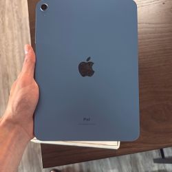 iPad 