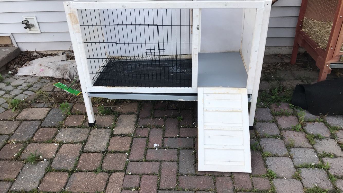 Boomer & top george rabbit hutch