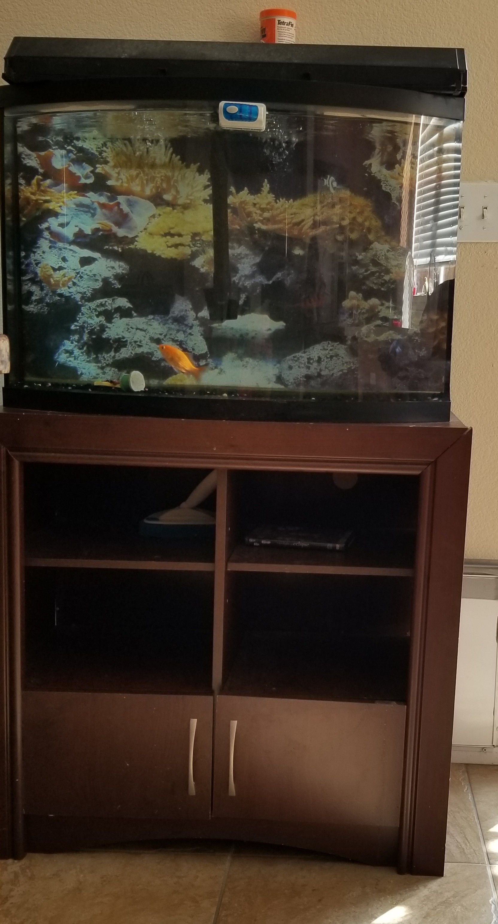 Fish tank w stand
