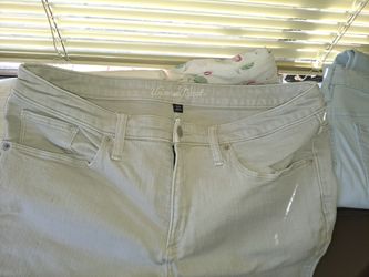 Pant New Stretch