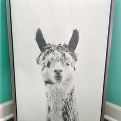 **Alpaca Canvas Wall Art**
