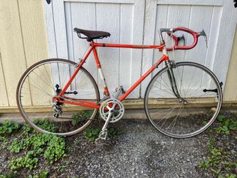 Beautiful 54cm Raleigh Firebird Road Bike!