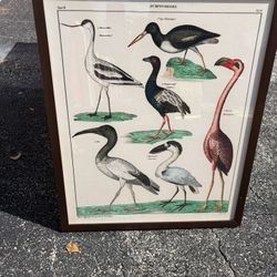 "Sumpfvoegel" (Marsh Birds) Textured Framed Print 20x24