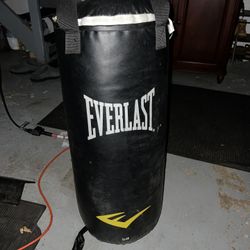 Everlast 40 Lb Punching Bag 