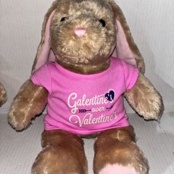 Build A Bear Brown Bunny Rabbit Plush Pink Floppy Ears Stuffed Animal 15"