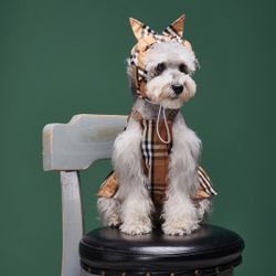Dog Dress  With Headband 