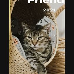 $39 CAT BED Woven  Basket Mod Modern Modernist Kitty Nap