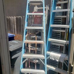 Warner 8 Ft. Ladder