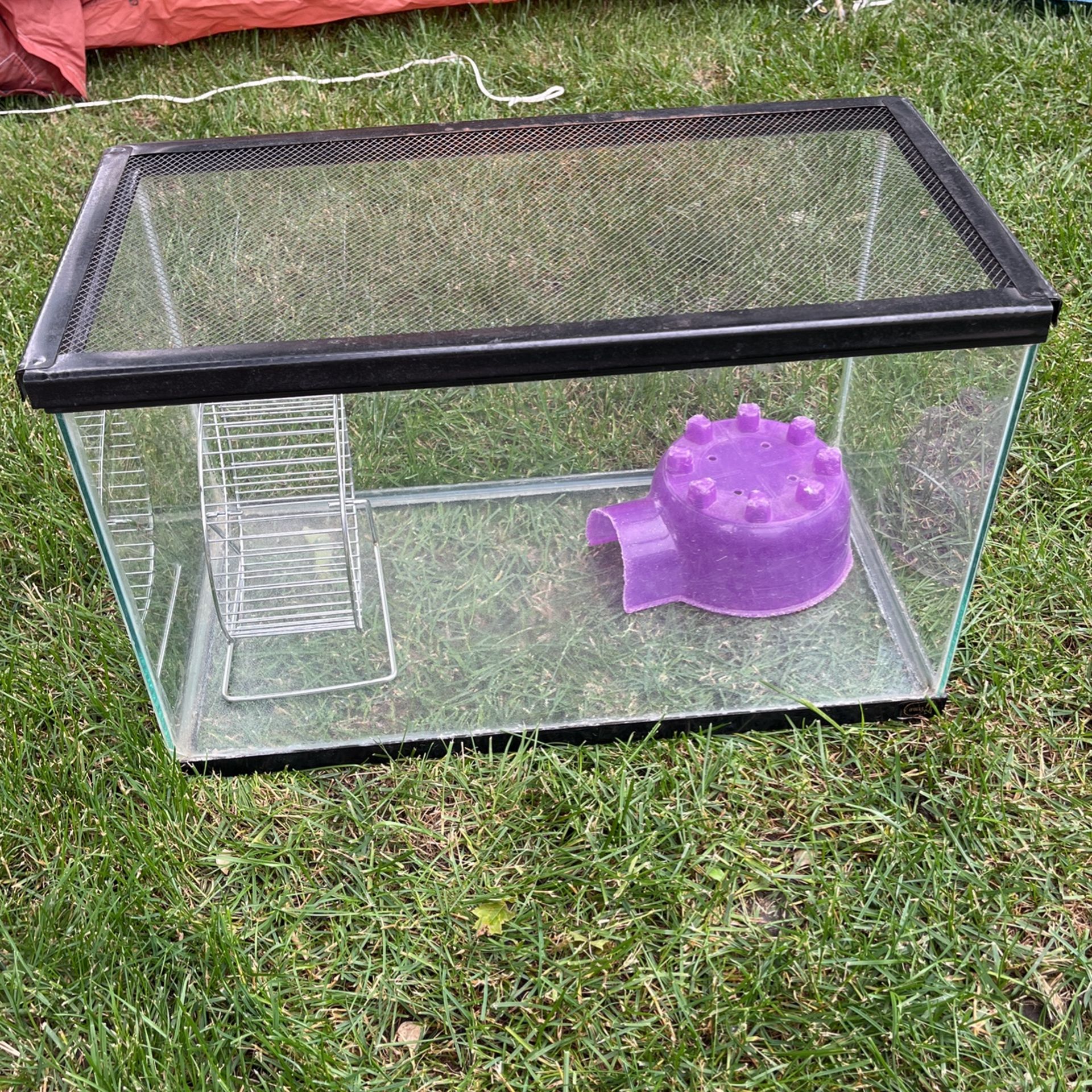 Hamster Cage, 10-gallon Aquarium