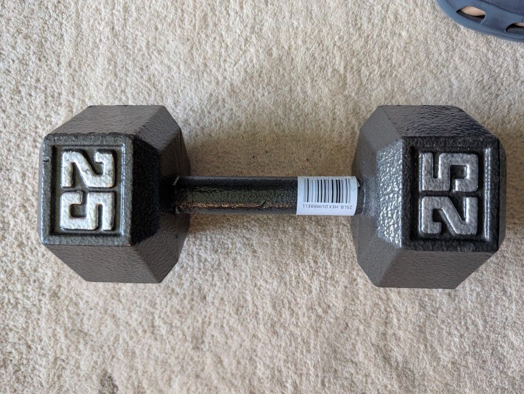 One 25lb Dumbbell
