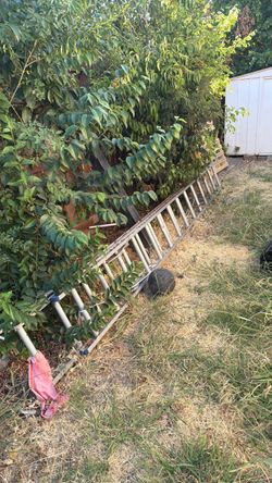 Ladder for sale $150