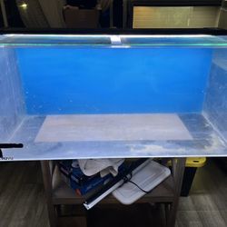 Acrylic Aquarium 