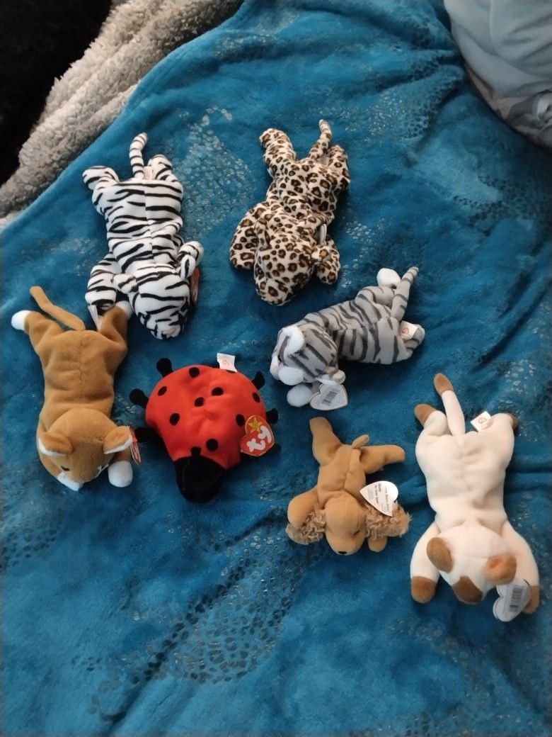Beanie Babys