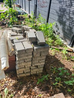Pavers and scalloped edgers
