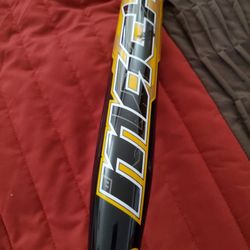 Baseball Bat Composite