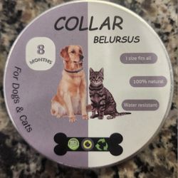 Pets for Sale in Ontario, CA - OfferUp