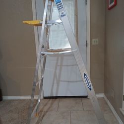Werner Ladder 6ft Holds 220lbs