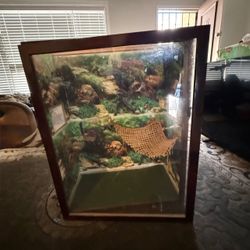 Reptile cage