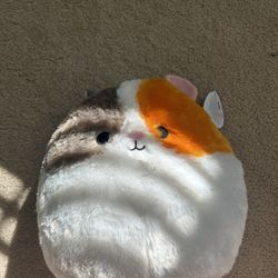 Cat Plushie