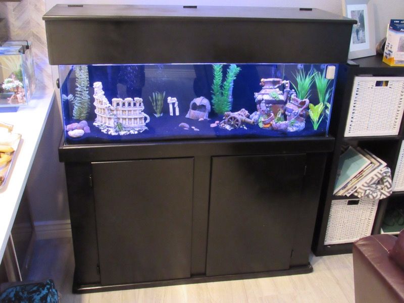Custom 50 Gallon Long Fish Tank with Tons of Accessories!m