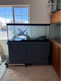 Fish tank 75gallon