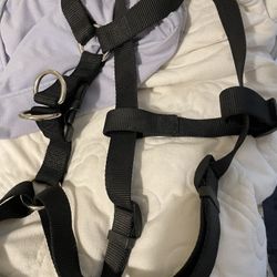 Dog Bundle