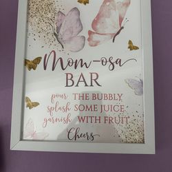 Butterfly Baby Shower Theme
