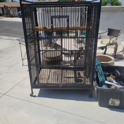 Bird Cage