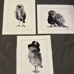 Owl Art