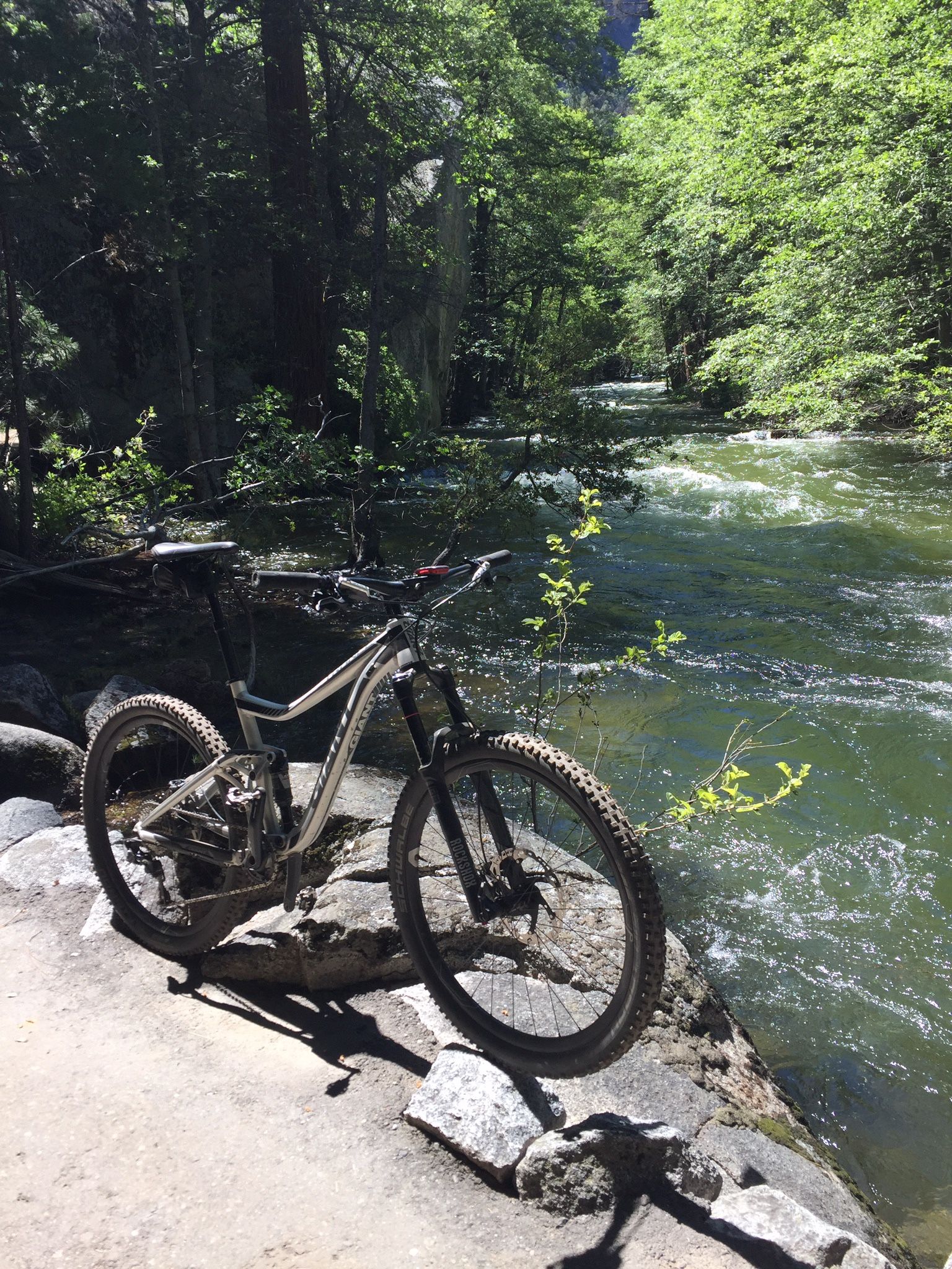 Giant trance Mountain bike size medium Alloy frame with carbon wheels