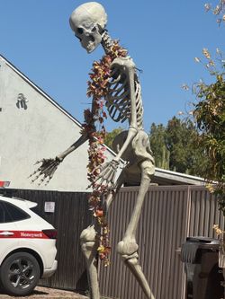 12 ft skelly from Home Depot
