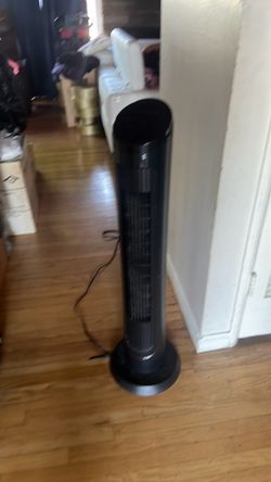 Fan