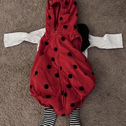 Ladybug Halloween Costume