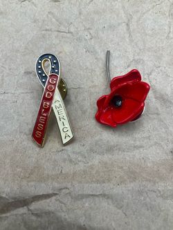 Brooch pin lapel $10 both 35ave/glendale