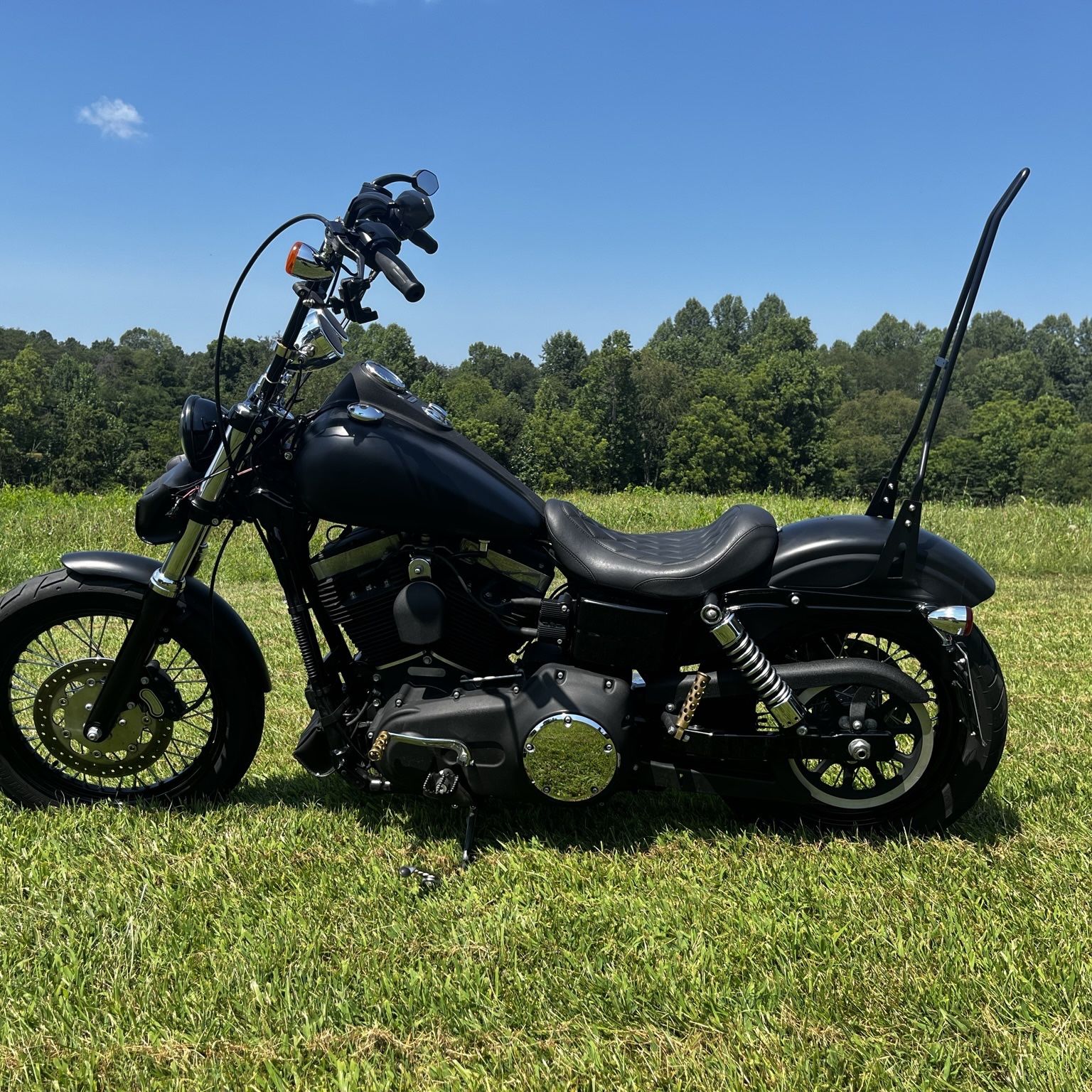 2015 Harley Davidson Dyna Street Bob