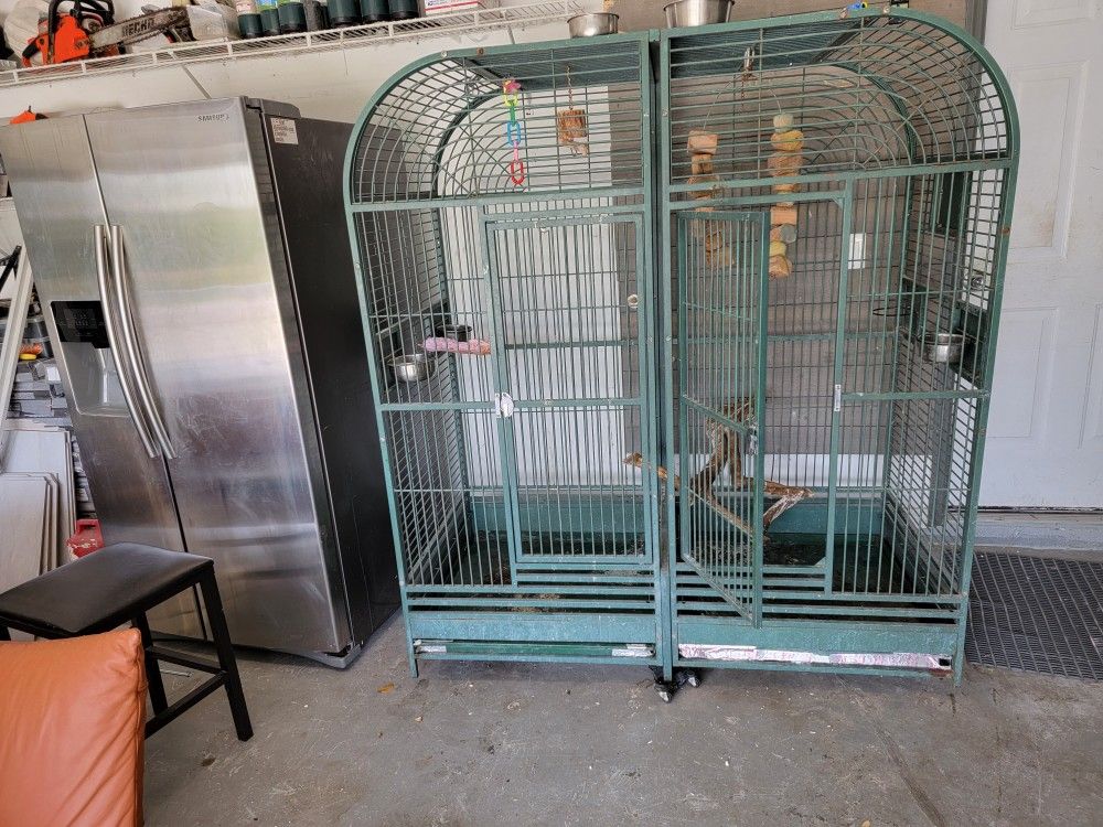 Big Bird Cage Or Monkey Cage