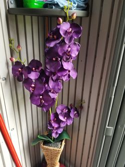Artifical Orcidia Purple