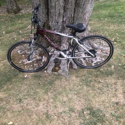 28” Hybrid Trek Bike 