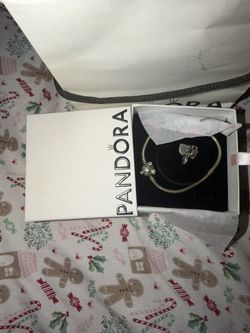 Pandora Bracelet