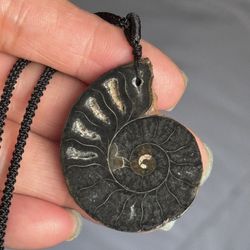 Natural Ammonite Necklace 
