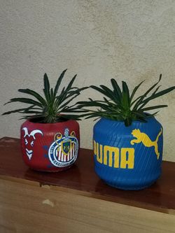 Masetas
