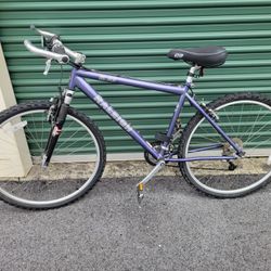 Mountain Bike - Raleigh M80