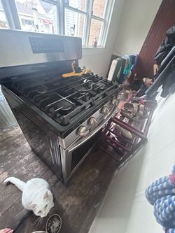 Samsung 30” Gas Range