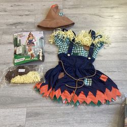 Adult Lady Scarecrow  Costume - The Wizard of Oz 
