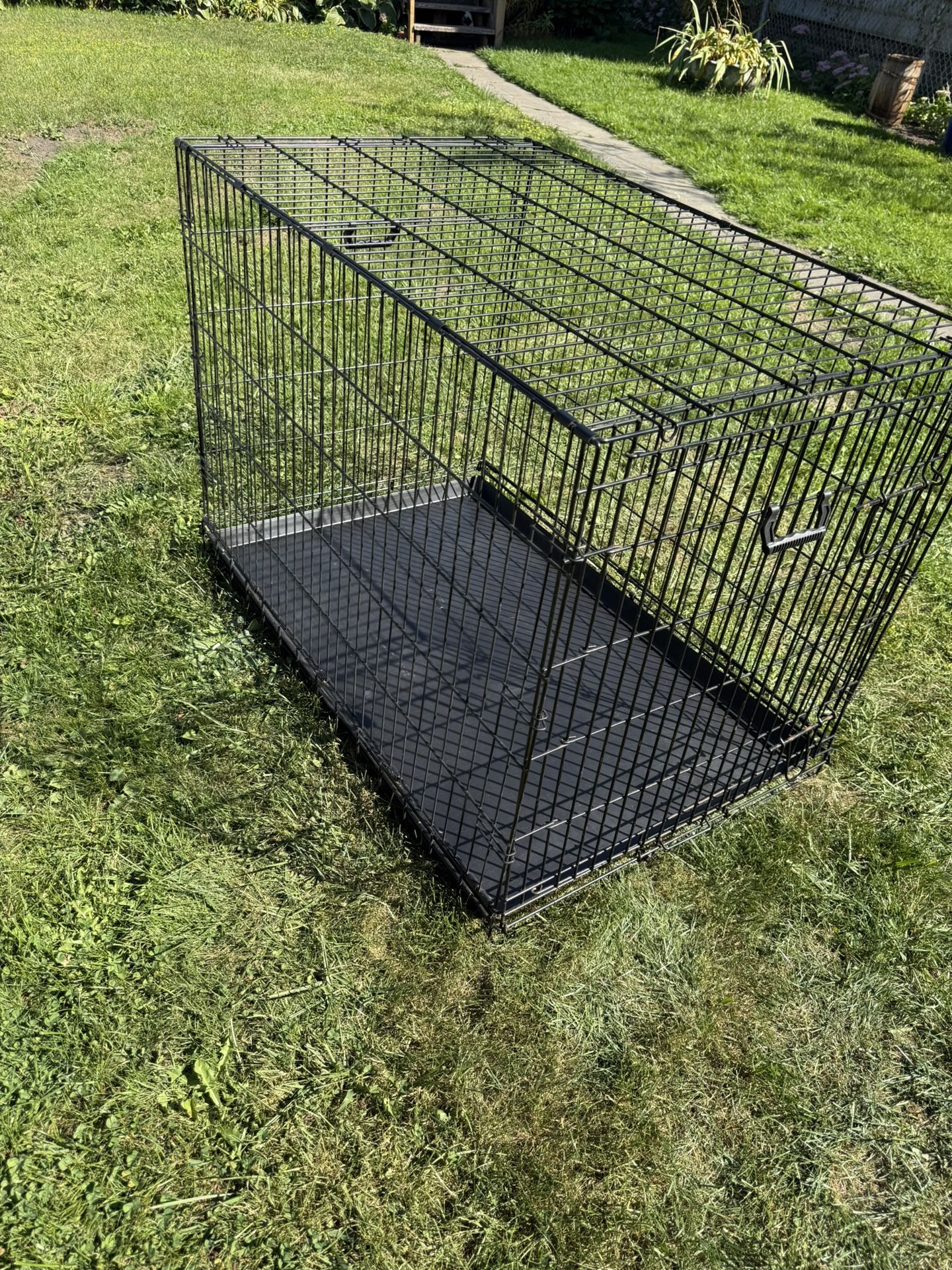 Dog Cage