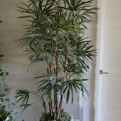 7 FT DESIGNER POTTED LADY PALM BAMBOO SILK FAUX PLANT FAUX CONCRETE TAPERED POT $850 RETAIL