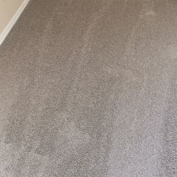 New Carpet 19.5x12