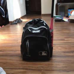 Softball Equipment 