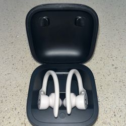 Beats PowerBeats Pro Earbuds w/ Case