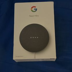 Google Mini Nest 2